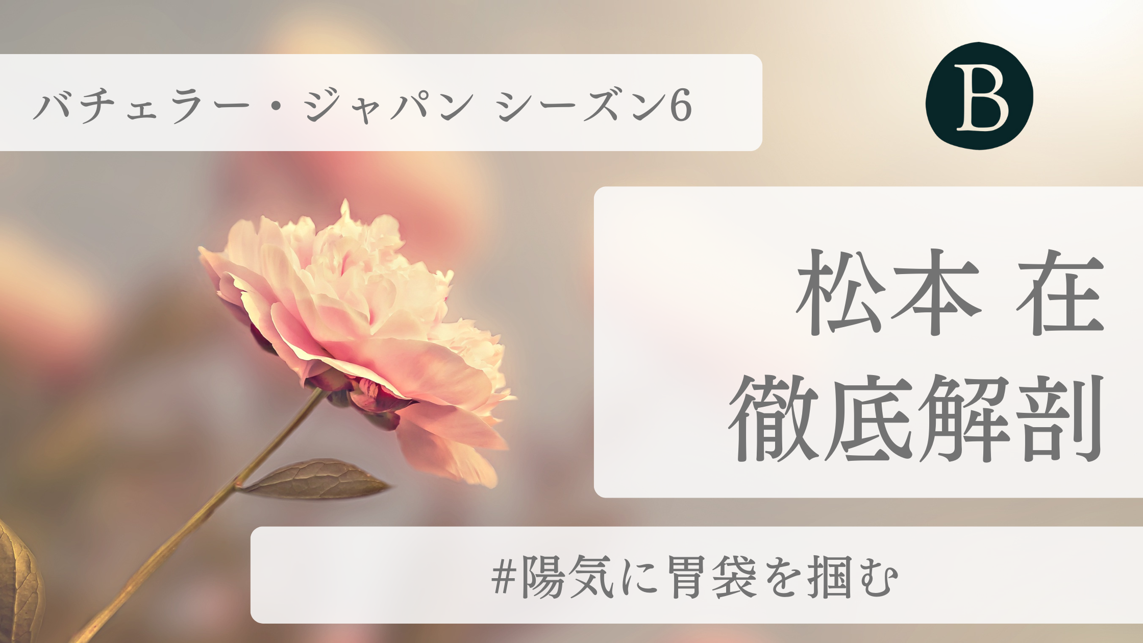 松本 在アイキャッチ